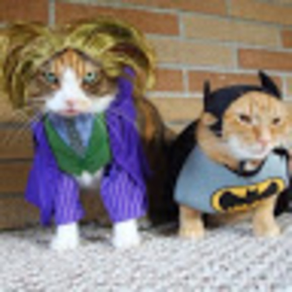 Meet your Posher, Michael - Picture 1 of 1